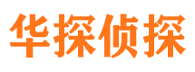 墨玉市调查公司